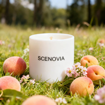 Pairing Scent to Scene: A Candle Guide for the Australian Outdoor