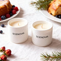 Berry Rose Hand-poured Premium Fragrance Candle - Set of 2 by SCENOVIA