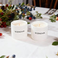 SCENOVIA Berry Rose Elegant Home Fragrance Scented Candle