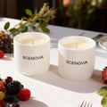 Berry Rose Relaxing Spa-quality Scented Candle Set - SCENOVIA