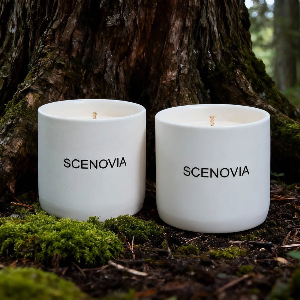 SCENOVIA Blue Collier Driftwood Aromatherapy Scented Candle with Essential Oils