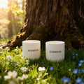 Blue Collier Driftwood Hand-poured Premium Fragrance Candle - Set of 2 by SCENOVIA