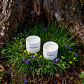 SCENOVIA Blue Collier Driftwood Elegant Home Fragrance Scented Candle