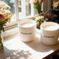Bobbys Flower Shop Hand-poured Premium Fragrance Candle - Set of 2 by SCENOVIA
