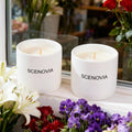 SCENOVIA Bobbys Flower Shop Elegant Home Fragrance Scented Candle