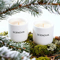French Black Juniper Luxury Scented Candle Set of 2 by SCENOVIA