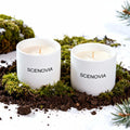 SCENOVIA French Black Juniper Aromatherapy Scented Candle with Essential Oils