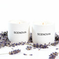 Lavender Eucalyptus 2-Piece Candle Gift Set for Home Decor - SCENOVIA
