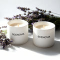 SCENOVIA Lavender Eucalyptus Aromatherapy Scented Candle with Essential Oils