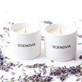 Lavender Eucalyptus Decorative Soy Wax Scented Candle Duo - SCENOVIA