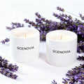 Lavender Eucalyptus Relaxing Spa-quality Scented Candle Set - SCENOVIA