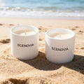 Sea Breeze Luxury Scented Candle Set of 2 by SCENOVIA