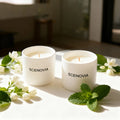 White Jasmine And Mint 2-Piece Candle Gift Set for Home Decor - SCENOVIA
