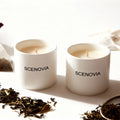 White Tea Happy 2-Piece Candle Gift Set for Home Decor - SCENOVIA
