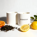 White Tea Happy Luxury Scented Candle Set of 2 by SCENOVIA