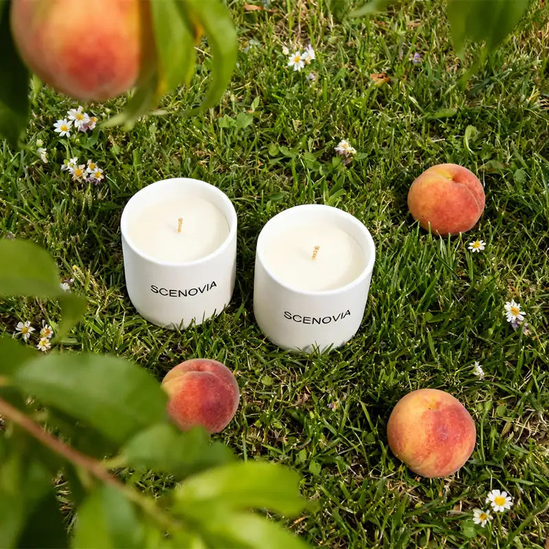 Wild Peach Bush Luxury Scented Candle Set of 2 by SCENOVIA