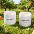 Wild Peach Bush 2-Piece Candle Gift Set for Home Decor - SCENOVIA