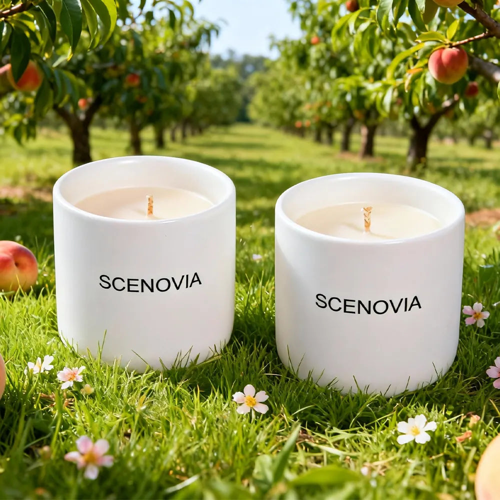 Wild Peach Bush 2-Piece Candle Gift Set for Home Decor - SCENOVIA