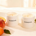 Wild Peach Bush Hand-poured Premium Fragrance Candle - Set of 2 by SCENOVIA
