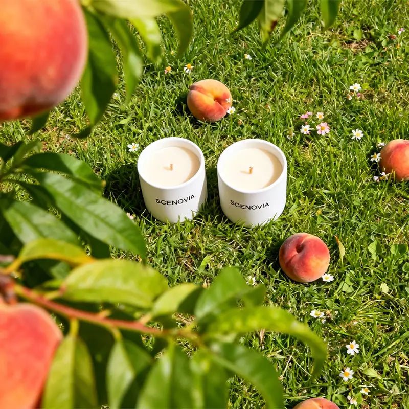 Wild Peach Bush Decorative Soy Wax Scented Candle Duo - SCENOVIA