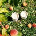 SCENOVIA Wild Peach Bush Elegant Home Fragrance Scented Candle