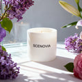 Bobby's Flower Shop scented candle, sunlit windowsill