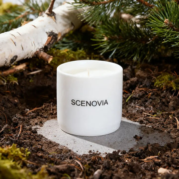 French Black Juniper scented candle, sunlit windowsill