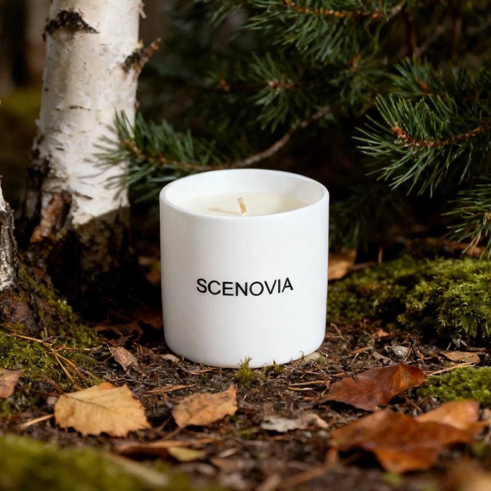 French Black Juniper scented candle, melted wax top view