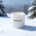 French Black Juniper scented candle, ingredient inspiration