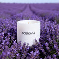 Lavender Eucalyptus scented candle, calming herbal, sleep-friendly