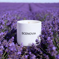 Lavender Eucalyptus scented candle, lit candle close-up