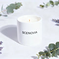 Lavender Eucalyptus scented candle, melted wax top view