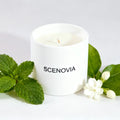 White Jasmine & Mint scented candle, lit candle close-up