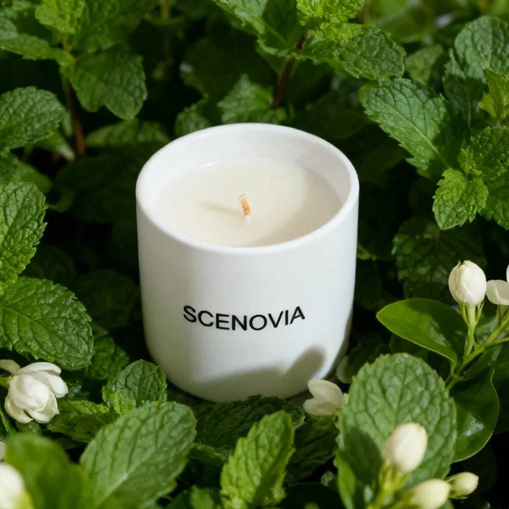 White Jasmine & Mint scented candle, sunlit windowsill
