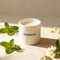 White Jasmine & Mint scented candle, melted wax top view