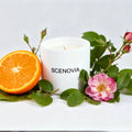 White Waiting scented candle, sunlit windowsill