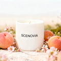 Wild Peach Bush scented candle, sunlit windowsill