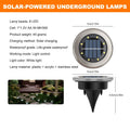 solar buried lights, LED close-up at night