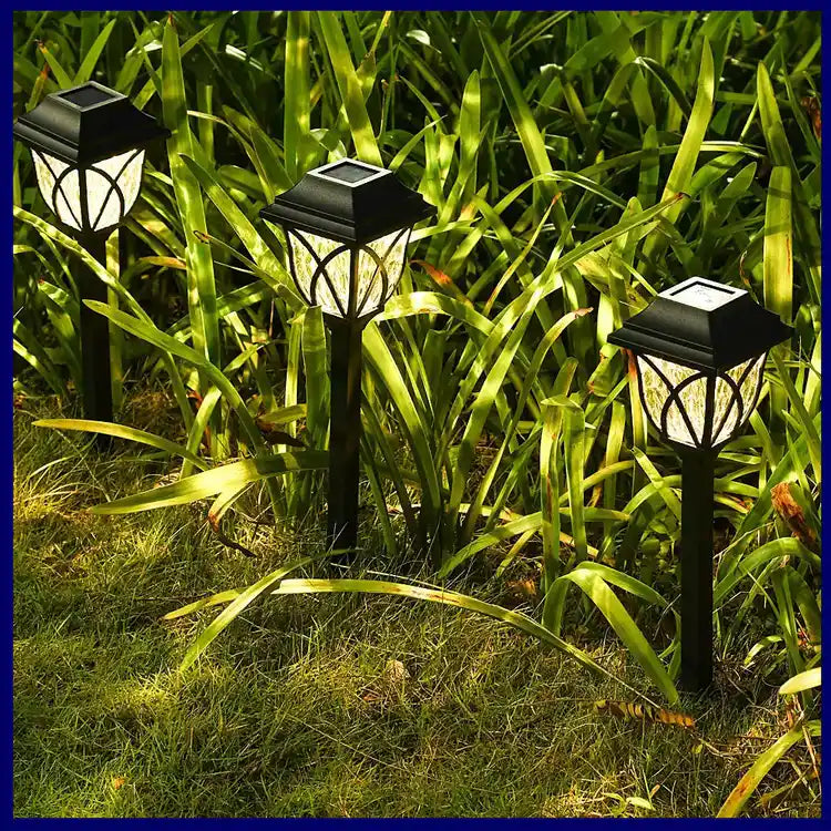 solar landscape lights, backyard ambiance