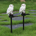 solar owl garden lamps, garden decor
