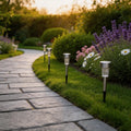 solar LED stick lights, poolside decor