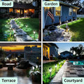 solar LED stick lights, multi-unit display